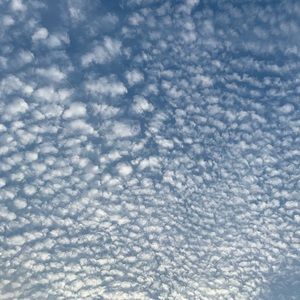 Meet your Posher, Alyson